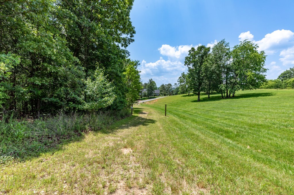Lot 168 Owen Glen Property Photo 19