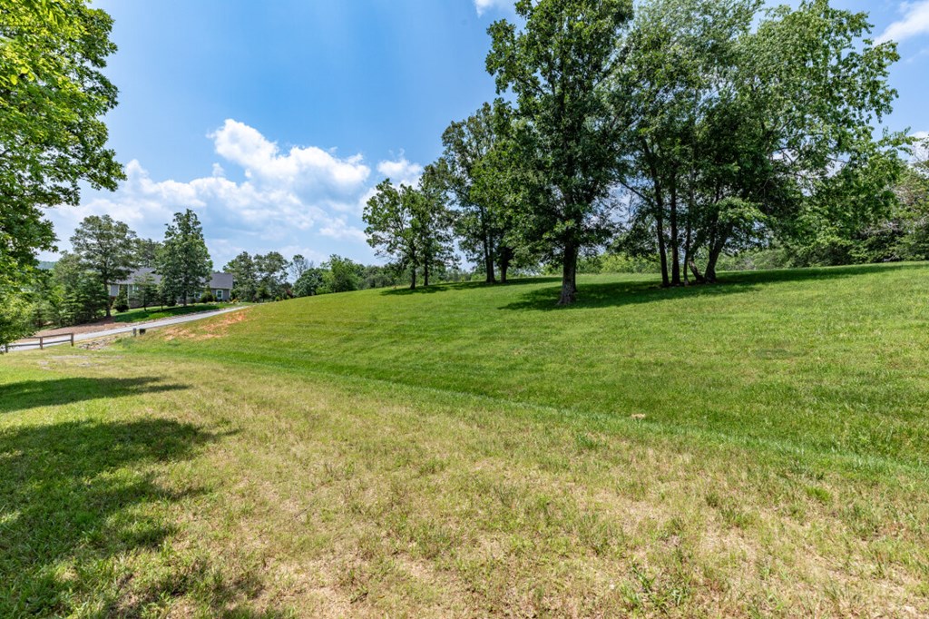 Lot 168 Owen Glen Property Photo 20