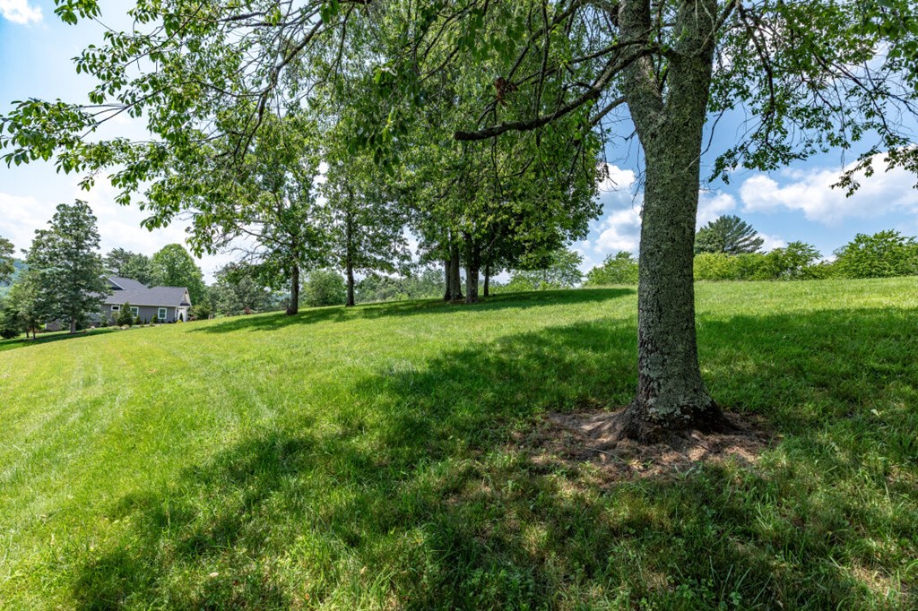 Lot 168 Owen Glen Property Photo 23