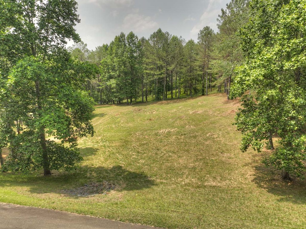 Lot 31 Eastside Drive Property Photo 2