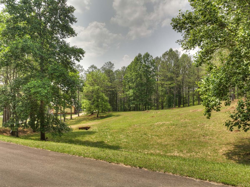 Lot 31 Eastside Drive Property Photo 4