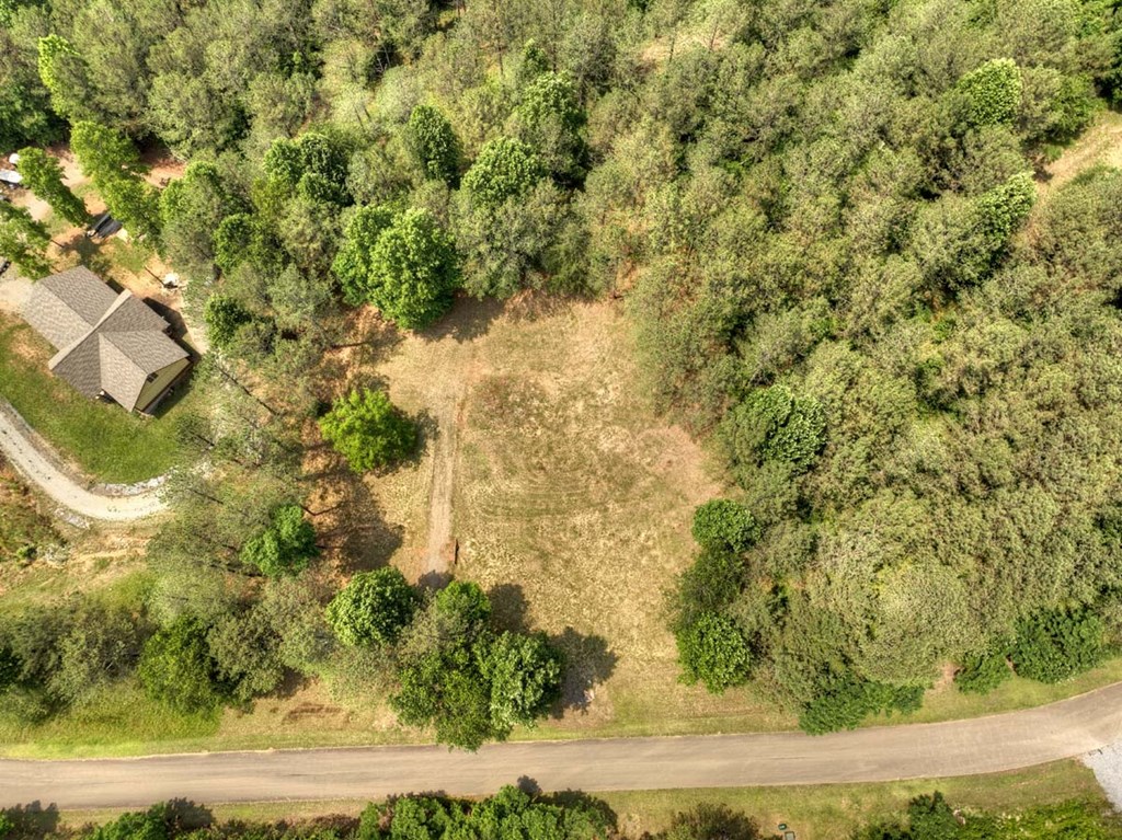 Lot 31 Eastside Drive Property Photo 5