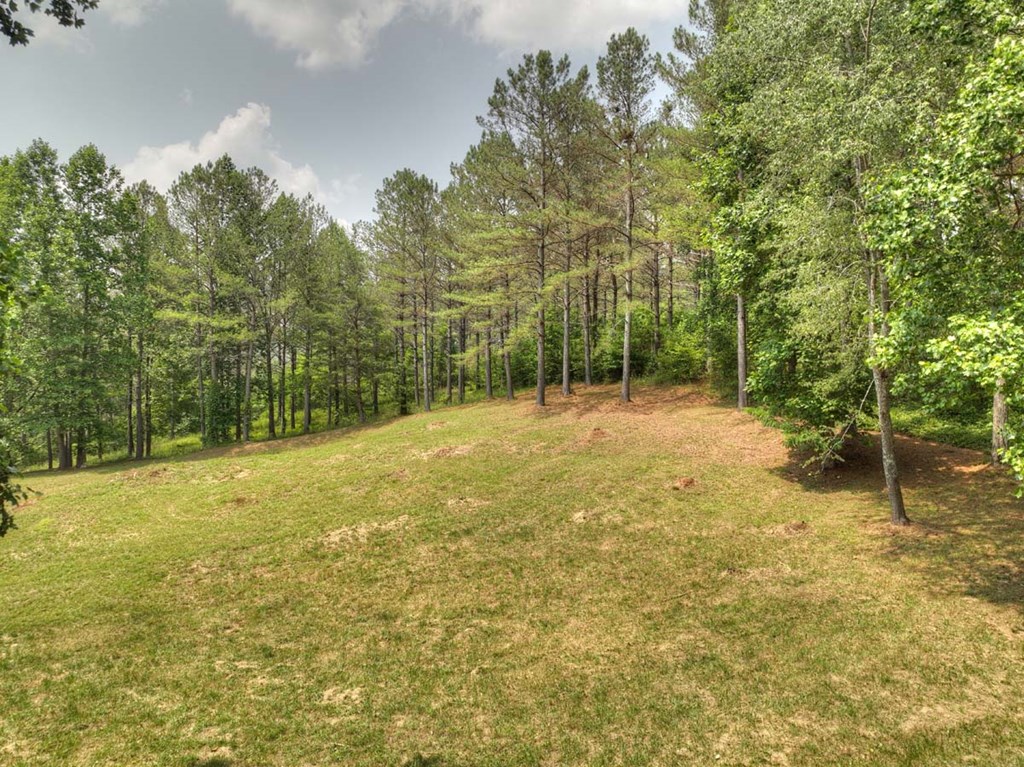 Lot 31 Eastside Drive Property Photo 6