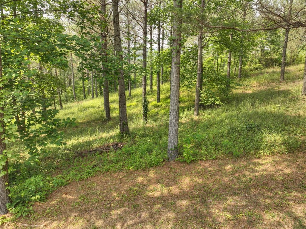 Lot 31 Eastside Drive Property Photo 7