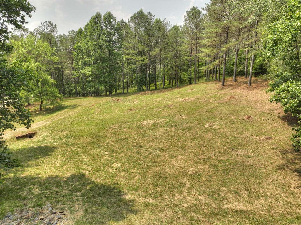 Lot 31 Eastside Drive Property Photo 14