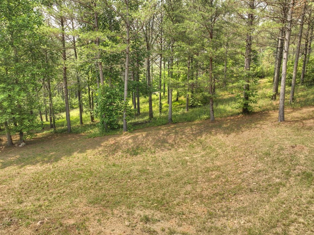 Lot 31 Eastside Drive Property Photo 15