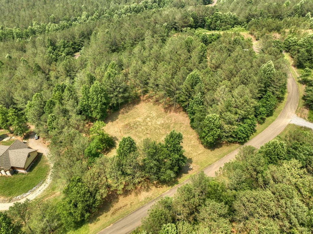 Lot 31 Eastside Drive Property Photo 19