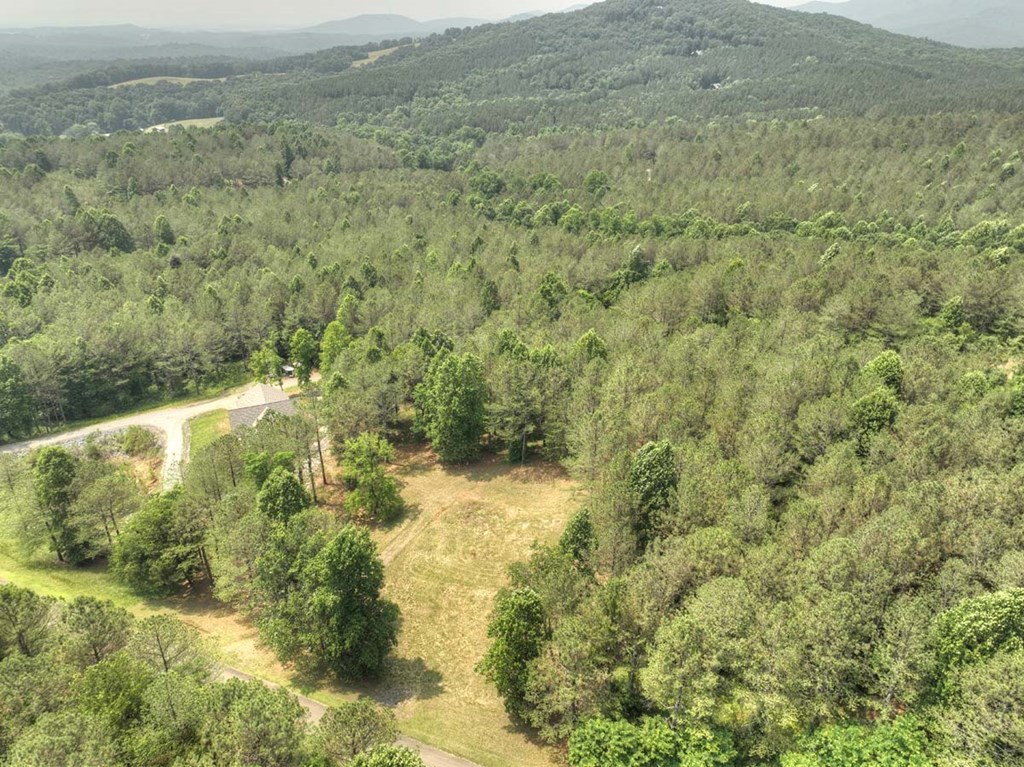 Lot 31 Eastside Drive Property Photo 20