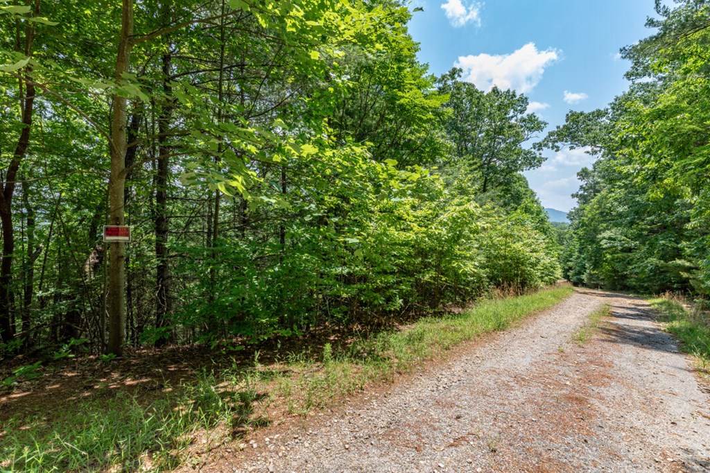 Lot 6 Wild Turkey Property Photo 2
