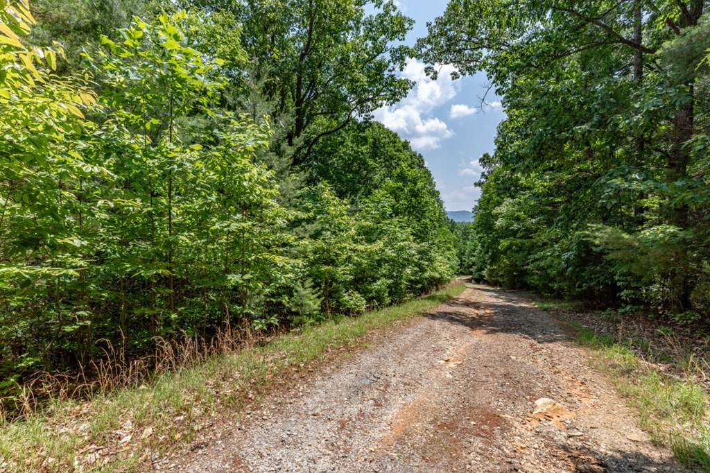 Lot 6 Wild Turkey Property Photo 3