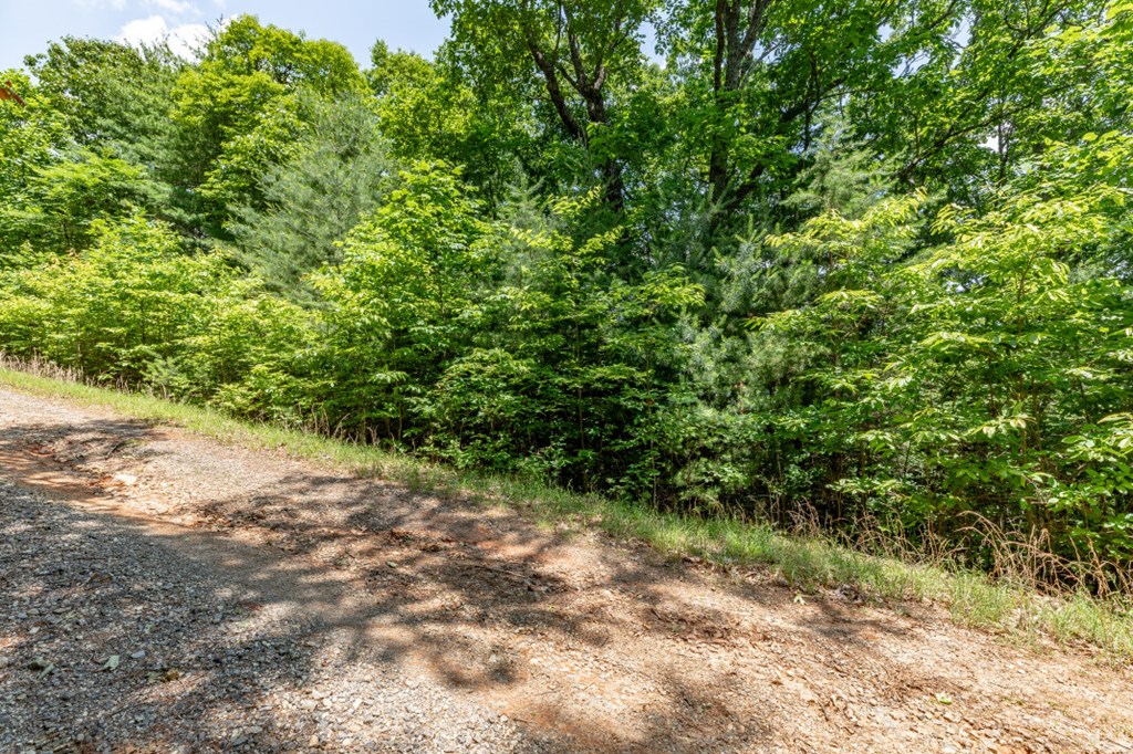 Lot 6 Wild Turkey Property Photo 4