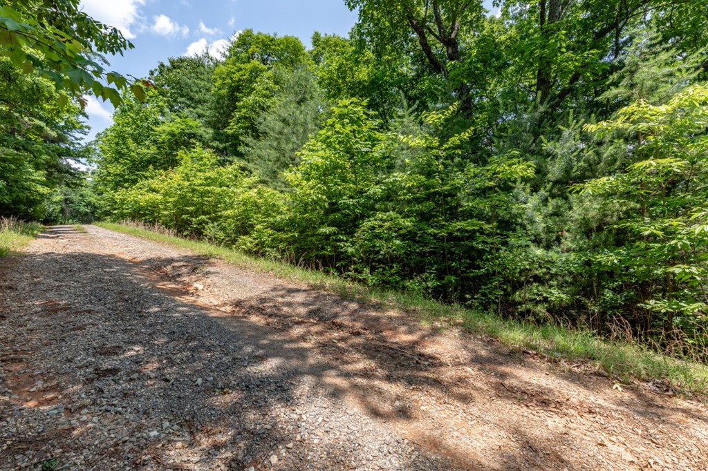 Lot 6 Wild Turkey Property Photo 5