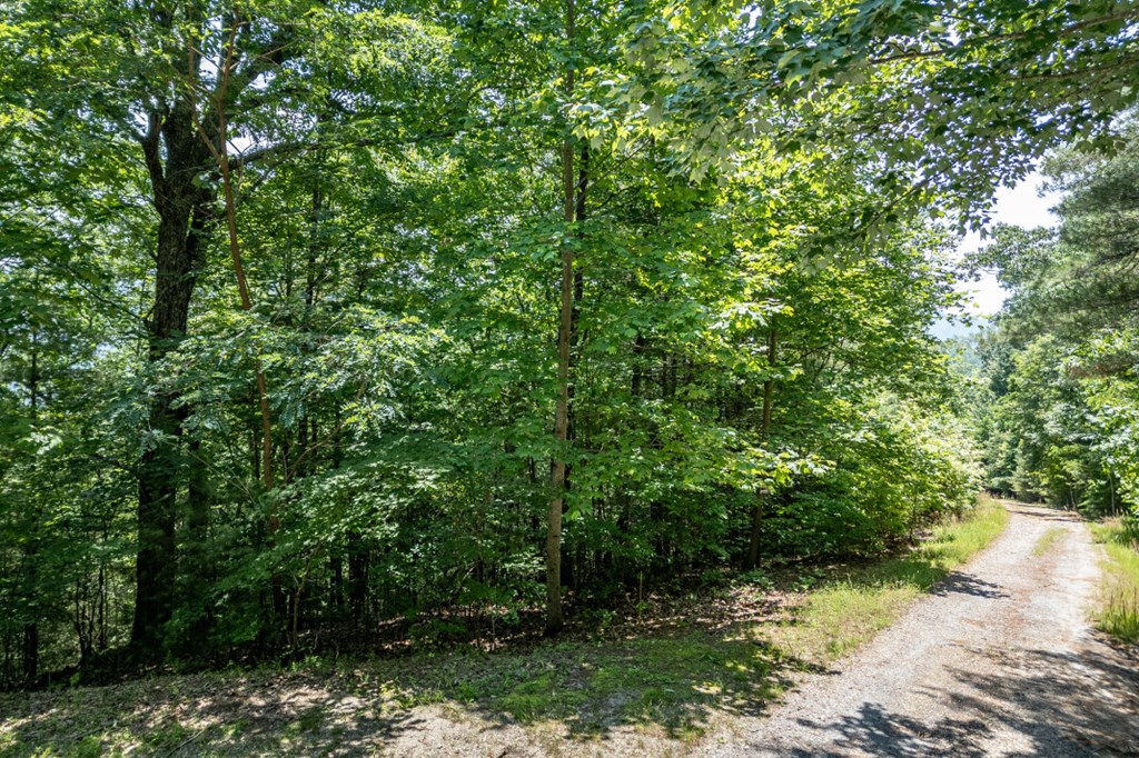 Lot 6 Wild Turkey Property Photo 12