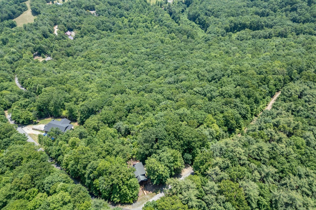 Lot 6 Wild Turkey Property Photo 13