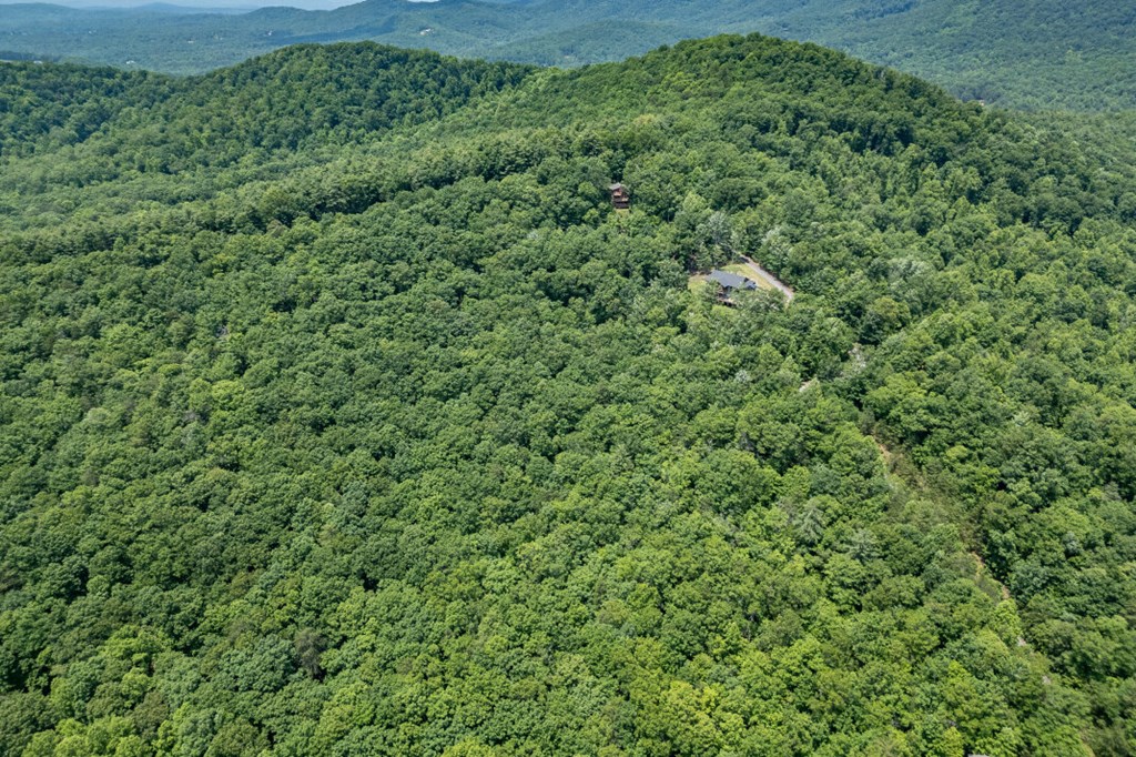 Lot 6 Wild Turkey Property Photo 22