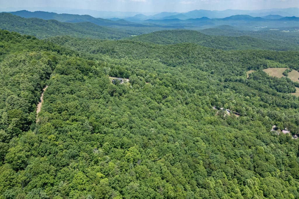 Lot 6 Wild Turkey Property Photo 23