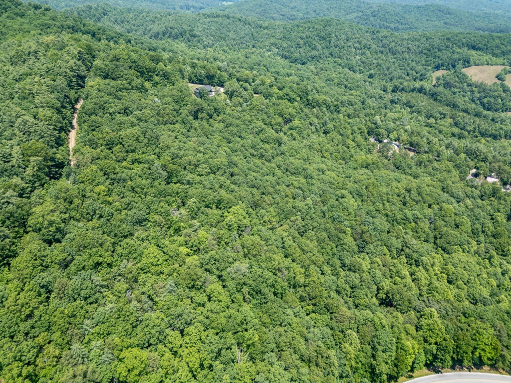 Lot 6 Wild Turkey Property Photo 24