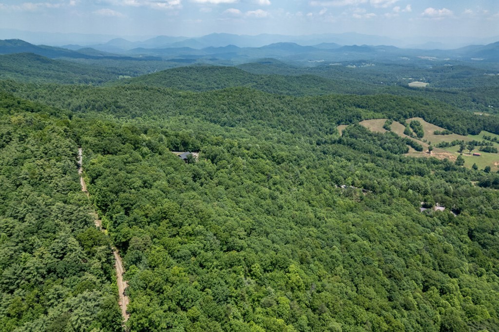 Lot 6 Wild Turkey Property Photo 25
