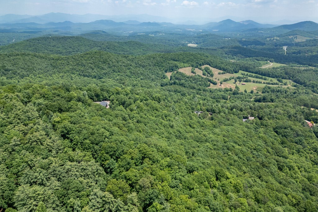Lot 6 Wild Turkey Property Photo 26