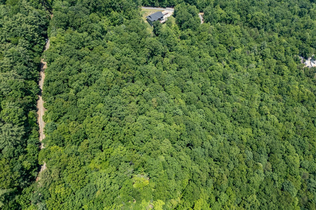 Lot 6 Wild Turkey Property Photo 27