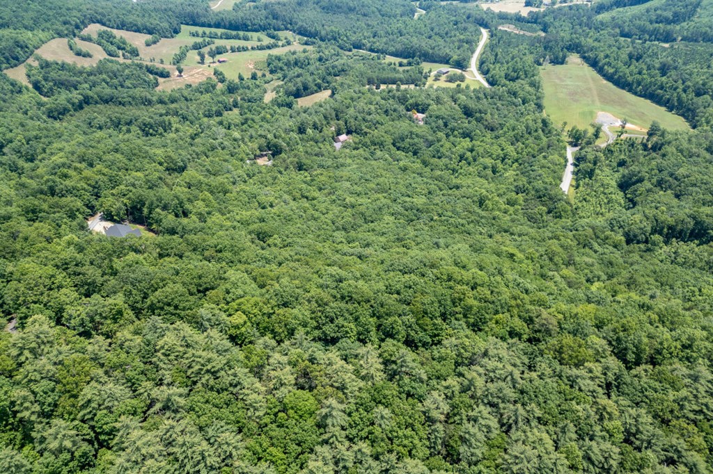 Lot 6 Wild Turkey Property Photo 28