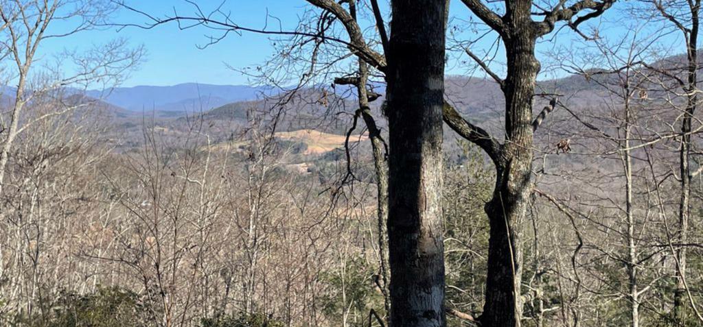 Lot 6 Wild Turkey Property Photo 30