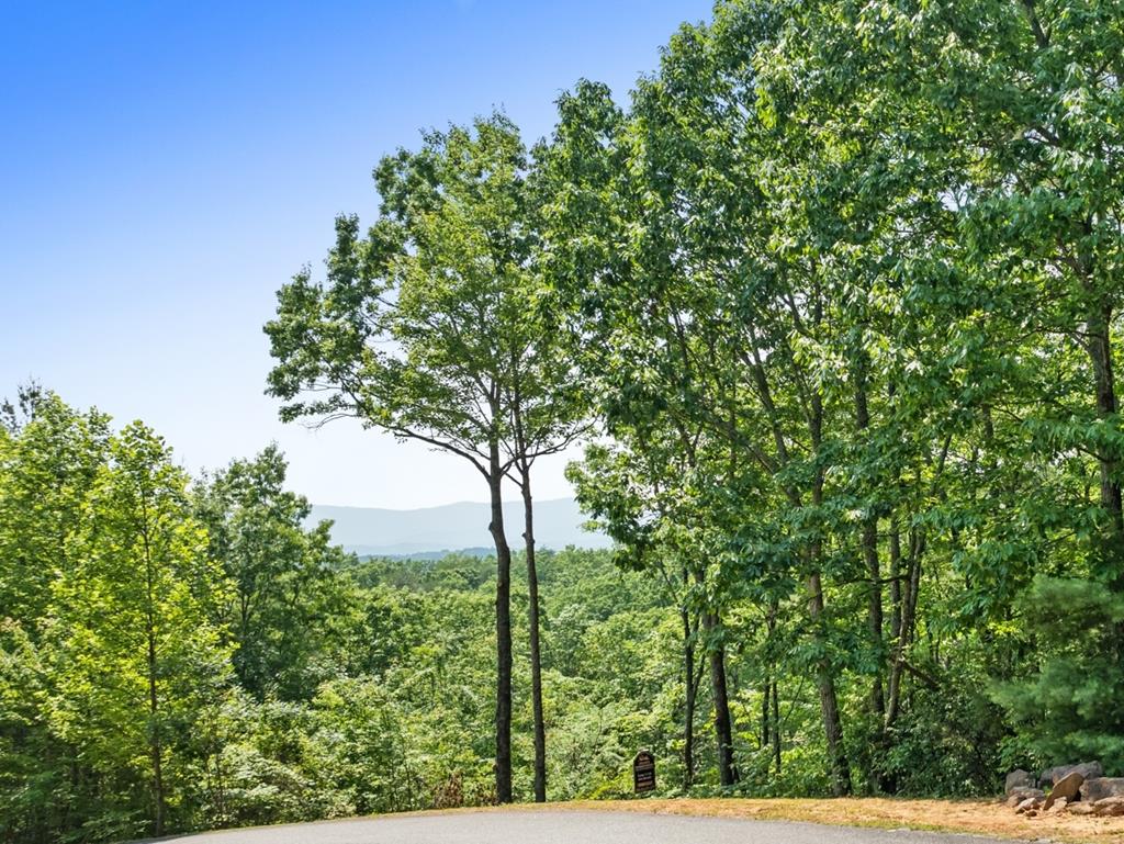 0 Osceola Dr - Lot #8 Property Photo 1