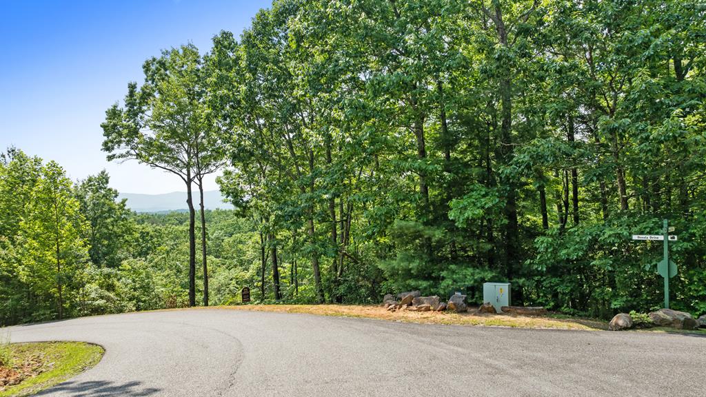 0 Osceola Dr - Lot #8 Property Photo 2