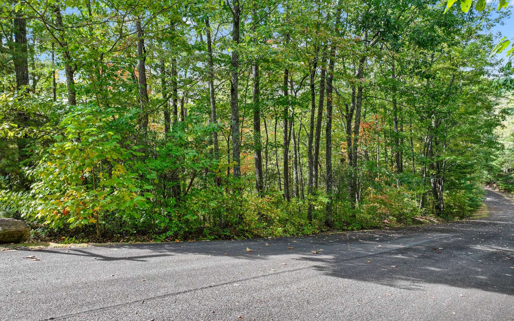 0 Osceola Dr - Lot #8 Property Photo 9