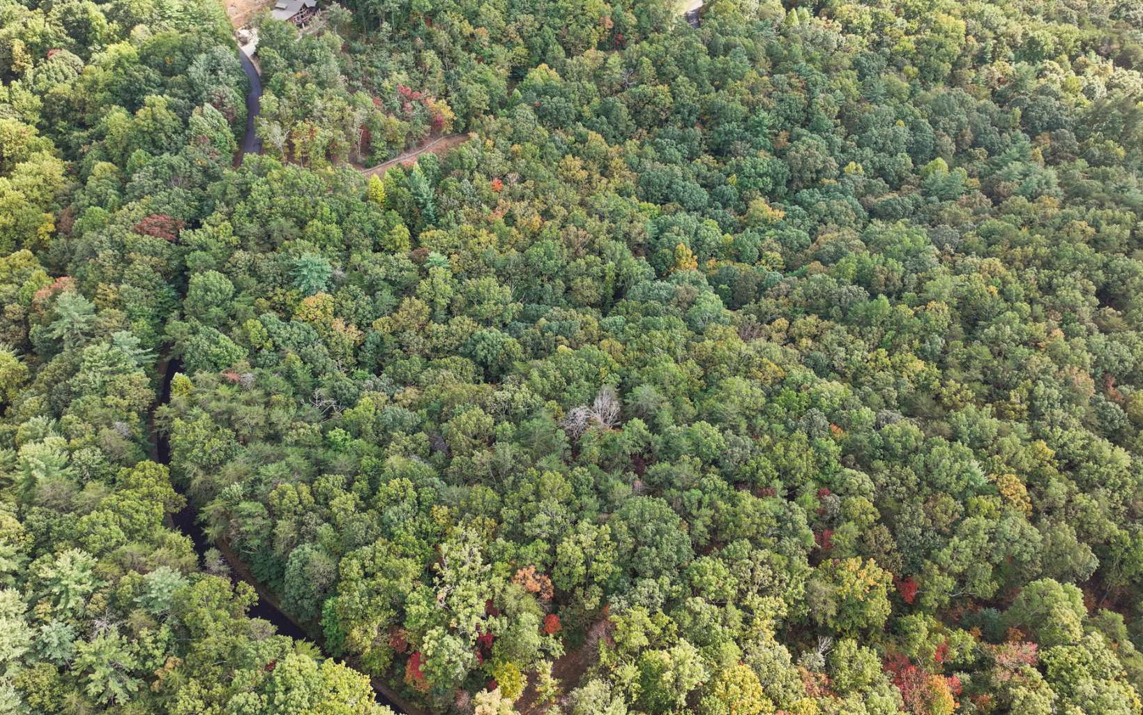 0 Osceola Dr - Lot #8 Property Photo 18