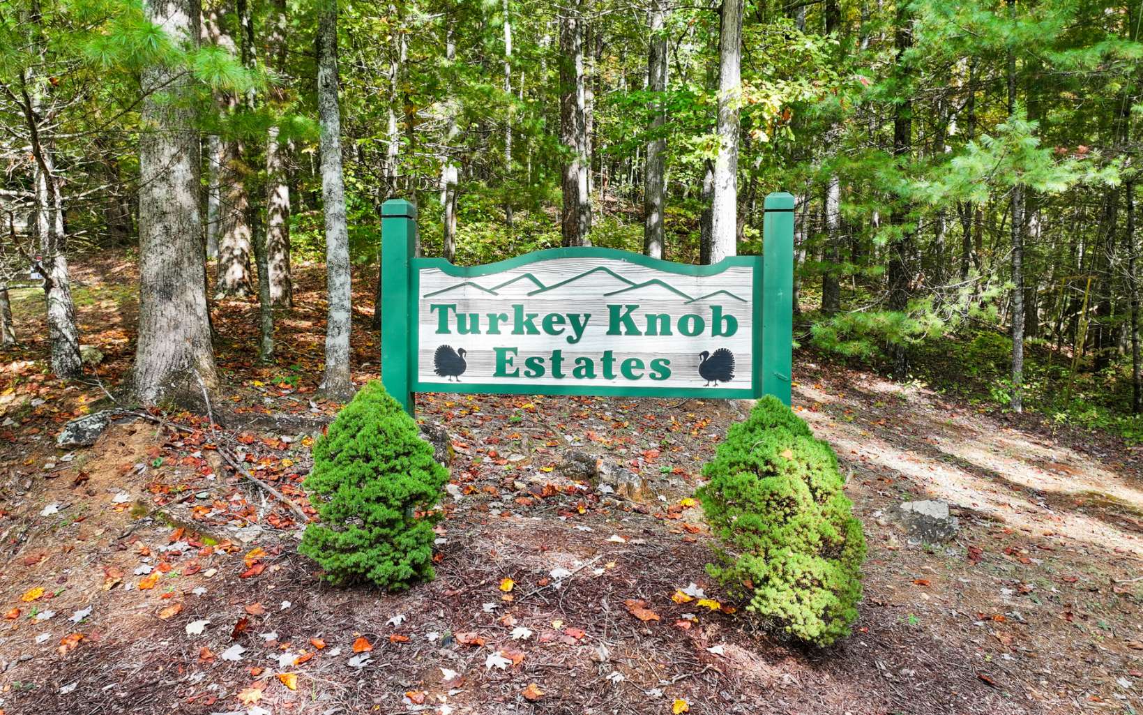 0 Oceola Dr - Lot #7 Property Photo 16