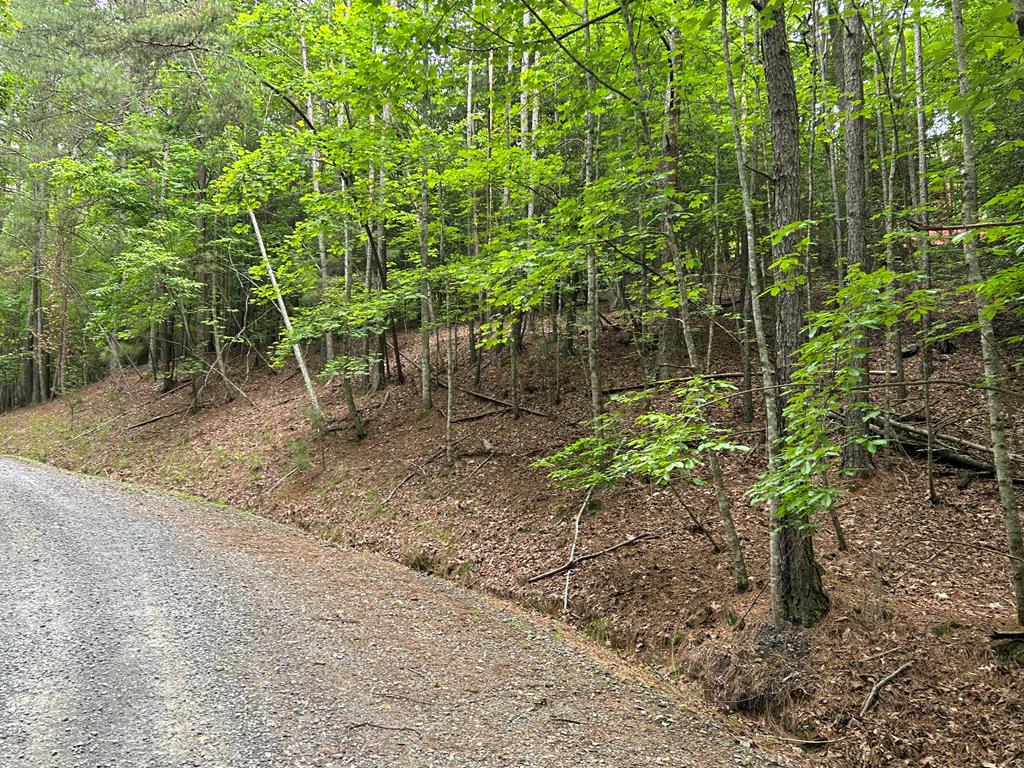 Lt2788 Medina Court Property Photo 1