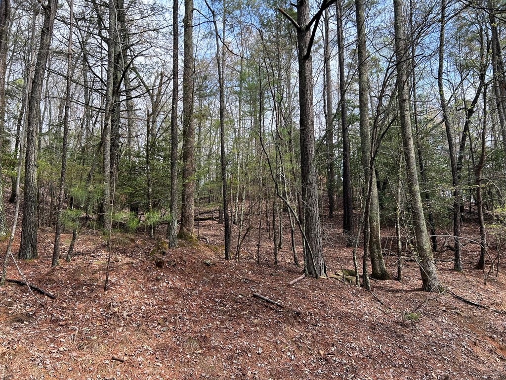 Lt2788 Medina Court Property Photo 2