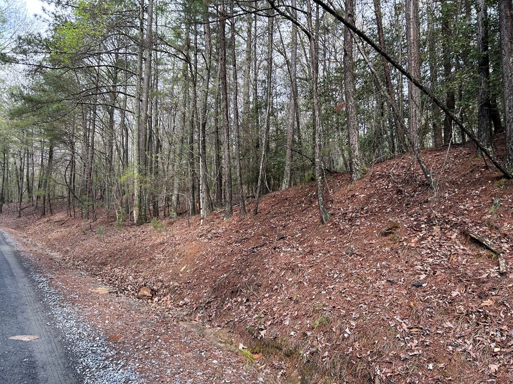 Lt2788 Medina Court Property Photo 3