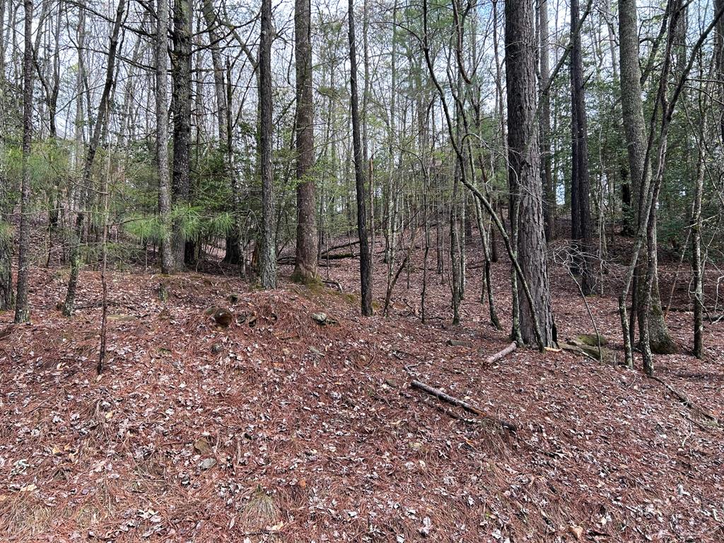 Lt2788 Medina Court Property Photo 15