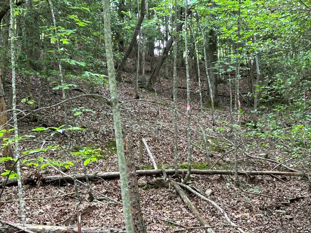 Lt2788 Medina Court Property Photo 16