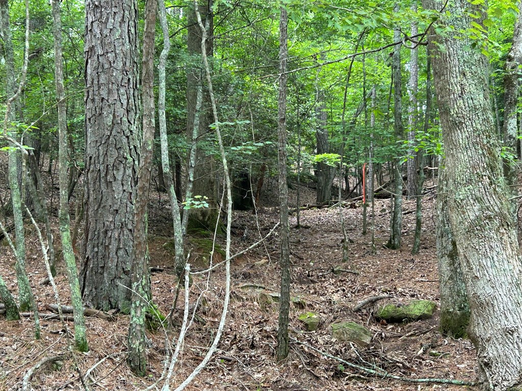 Lt2788 Medina Court Property Photo 17