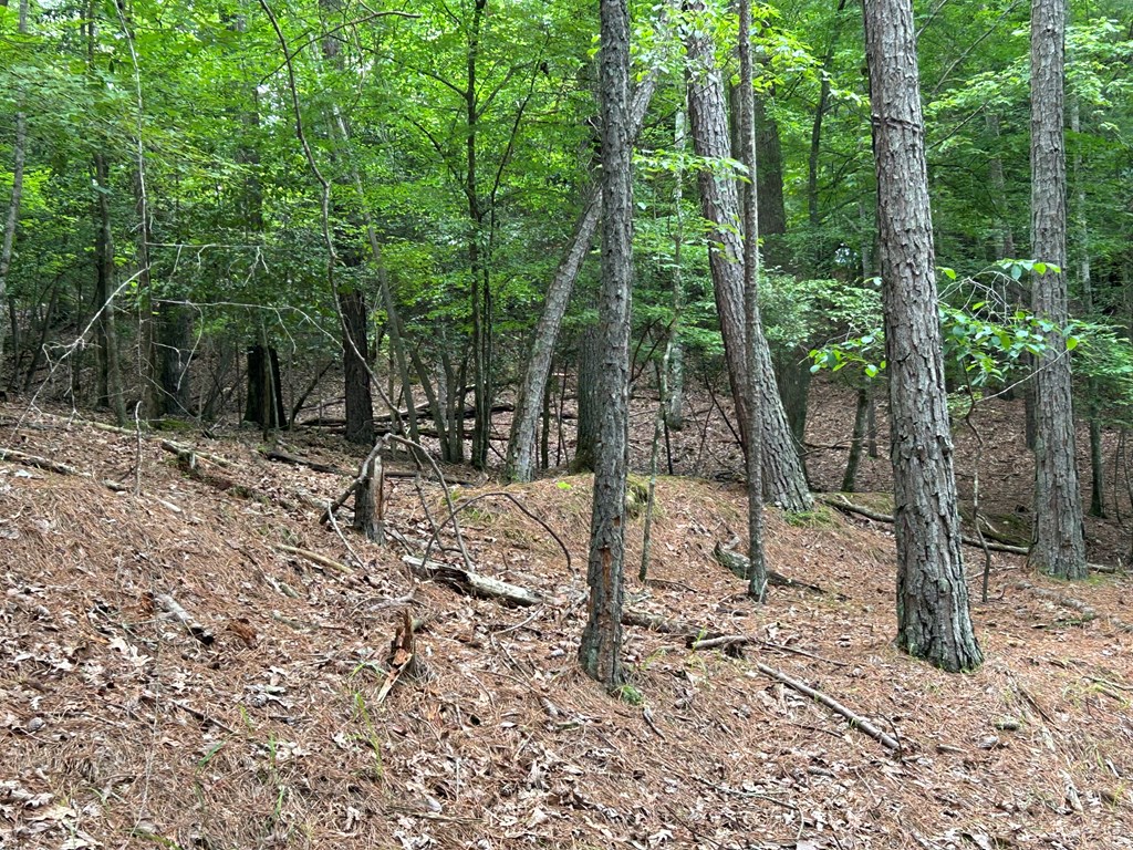 Lt2788 Medina Court Property Photo 18
