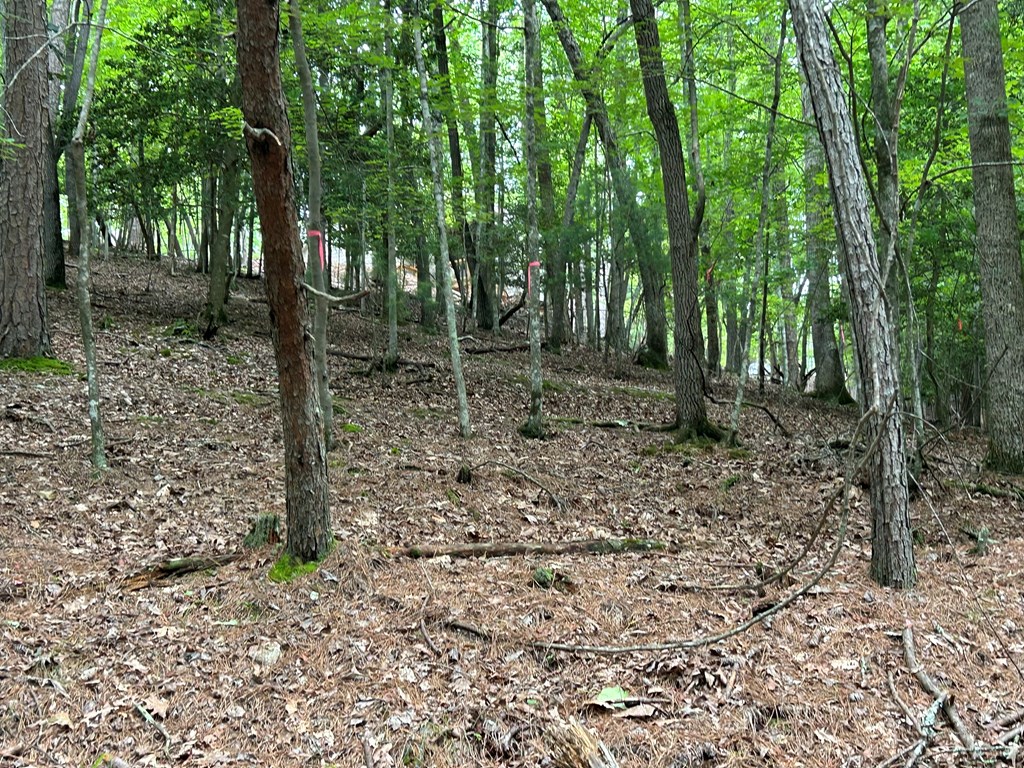 Lt2788 Medina Court Property Photo 19
