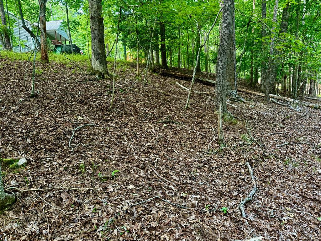 694 Echo Lane Property Photo 1