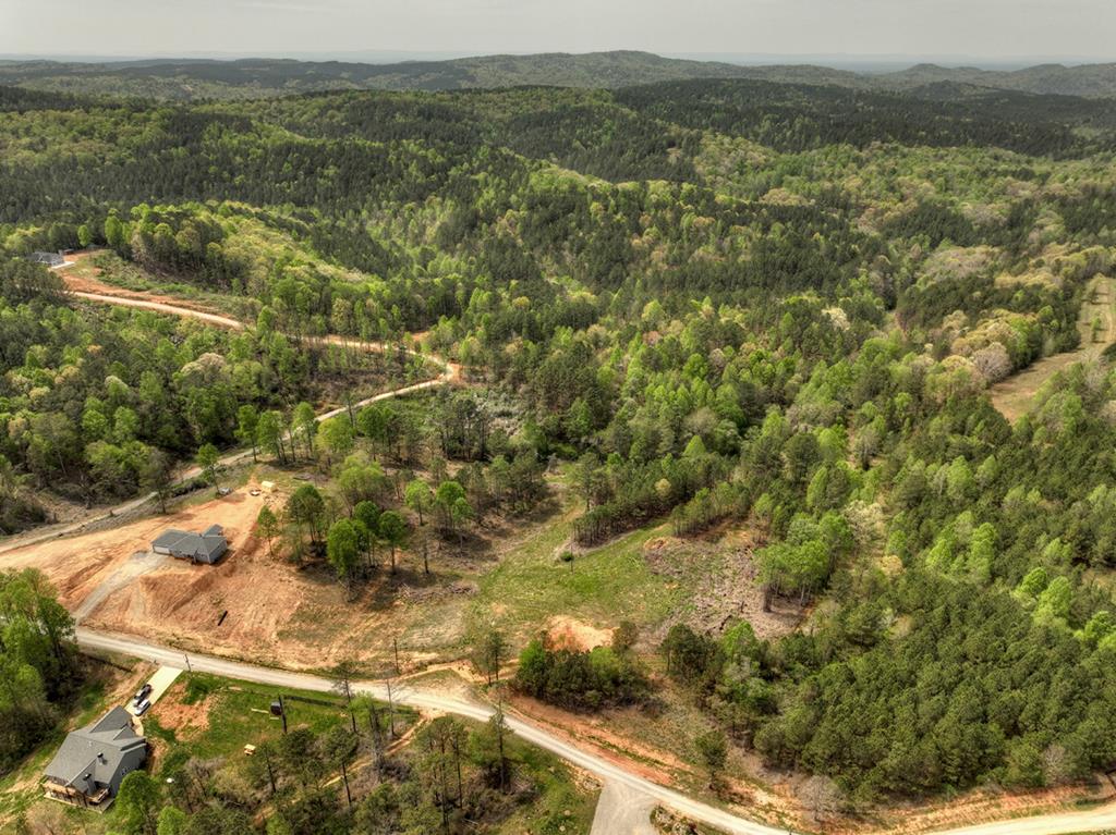 84.37 Ac Bethel Road Property Photo 1