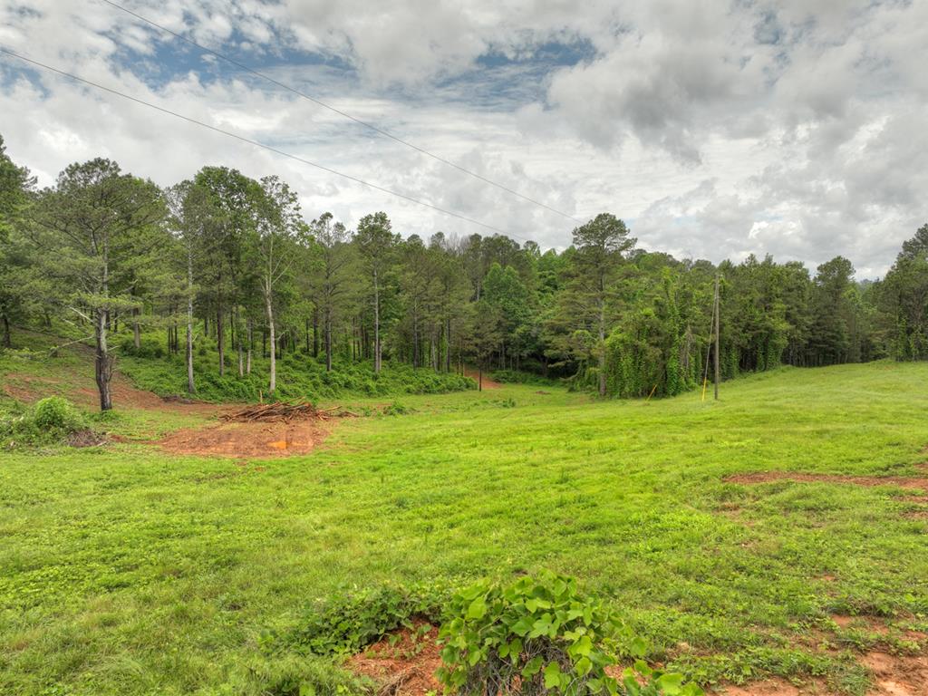 84.37 Ac Bethel Road Property Photo 6