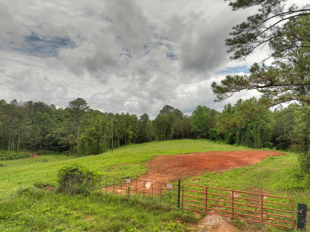 84.37 Ac Bethel Road Property Photo 8
