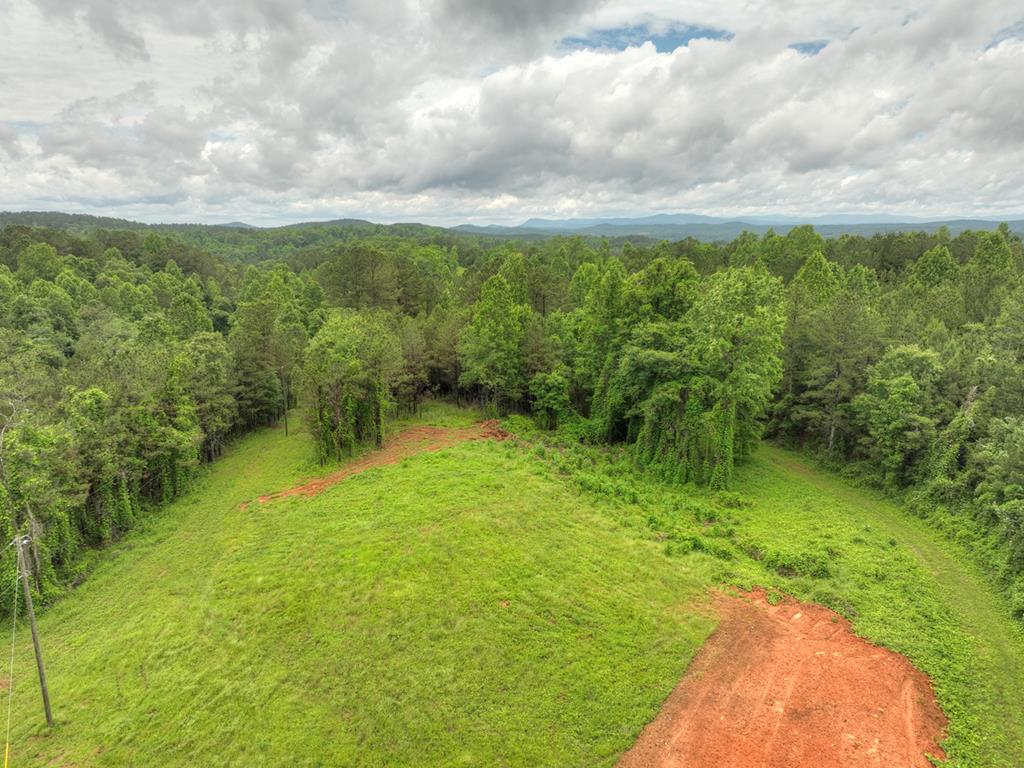 84.37 Ac Bethel Road Property Photo 9