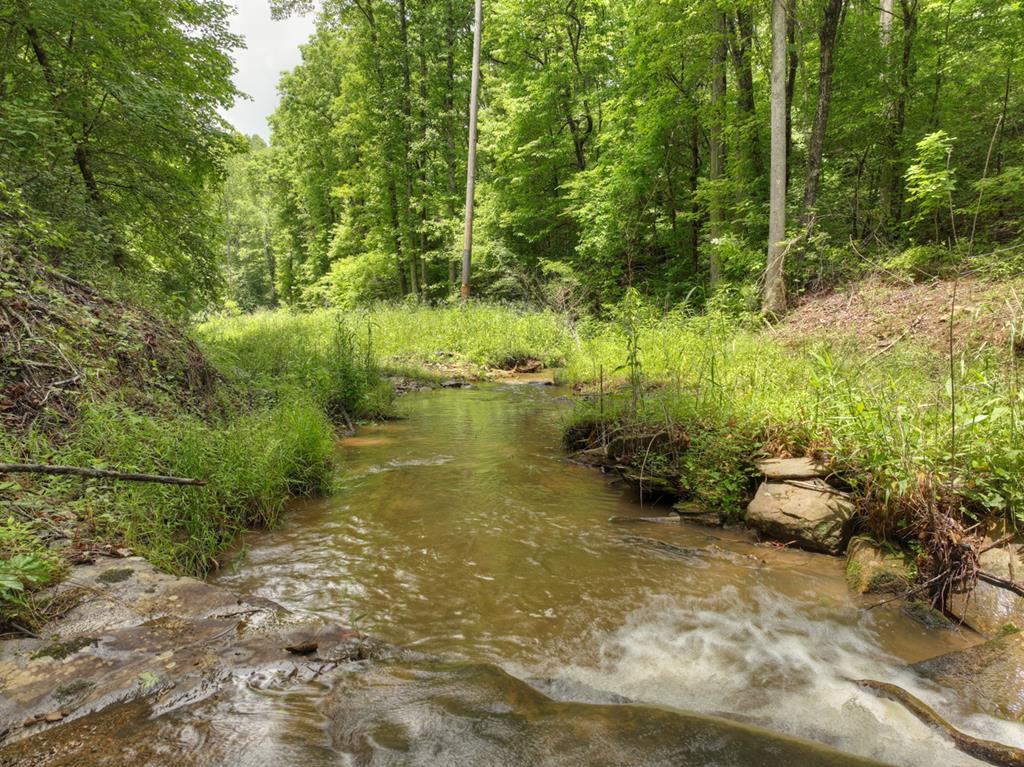 84.37 Ac Bethel Road Property Photo 12
