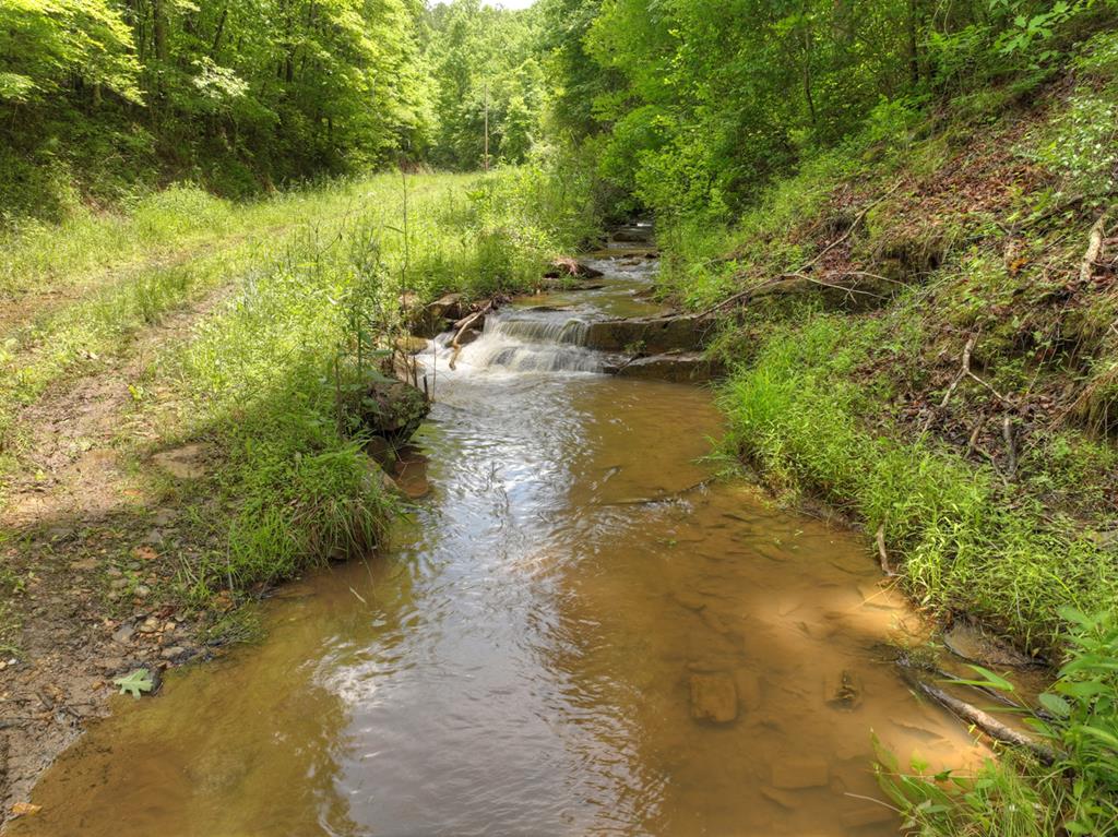 84.37 Ac Bethel Road Property Photo 13