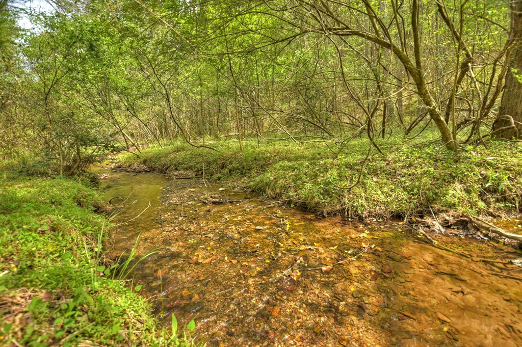 84.37 Ac Bethel Road Property Photo 14