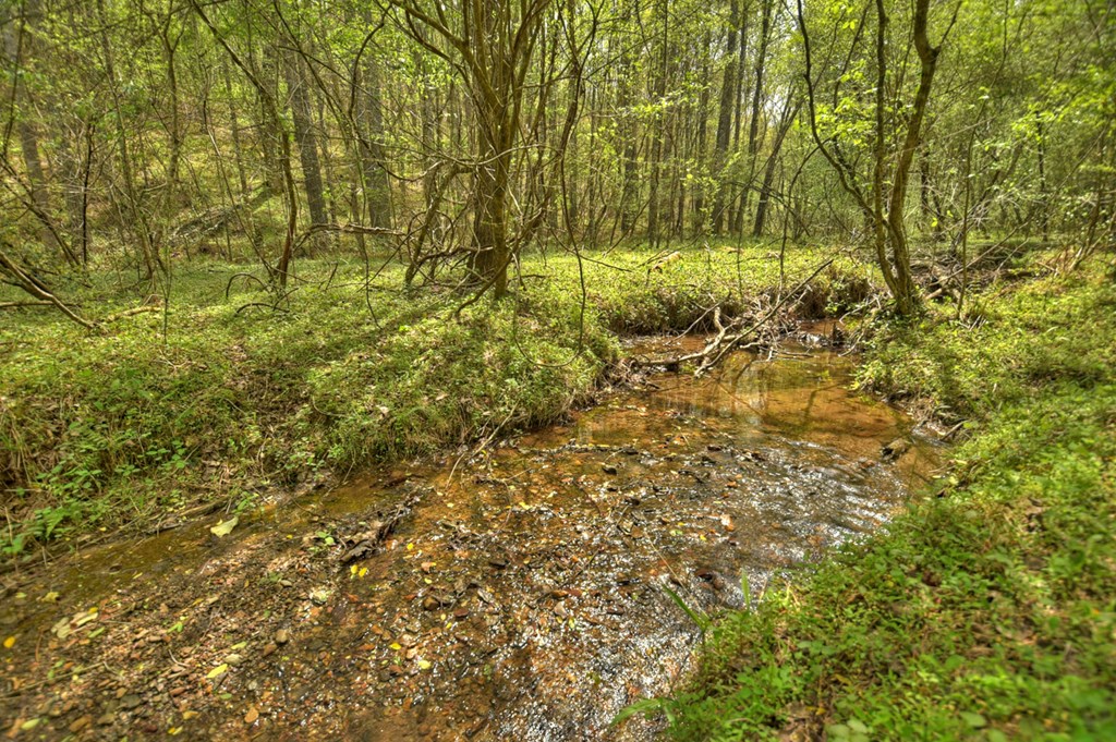 84.37 Ac Bethel Road Property Photo 15