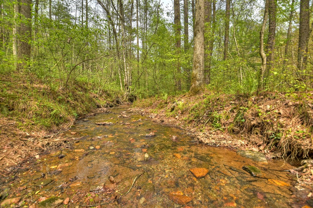 84.37 Ac Bethel Road Property Photo 17
