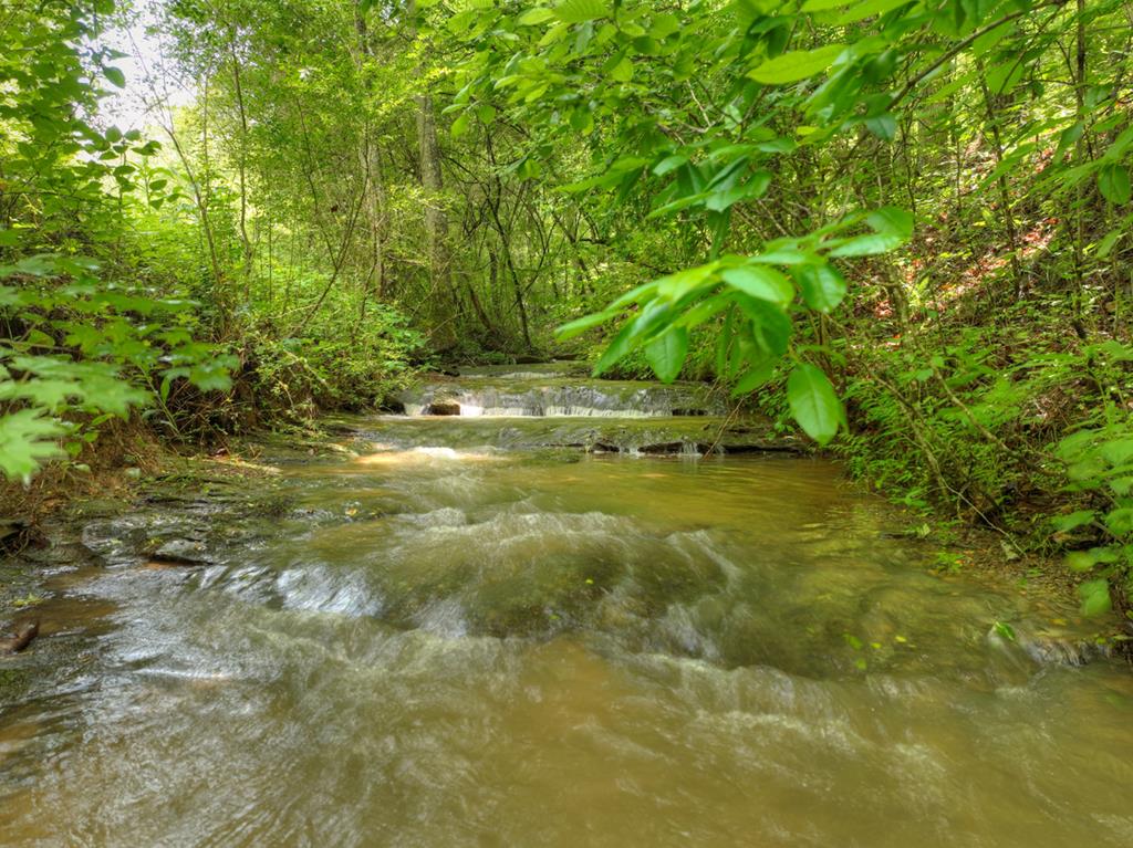 84.37 Ac Bethel Road Property Photo 18